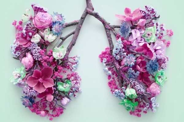 Asthma & Allergies - Southport Doctors - Doctor Southport